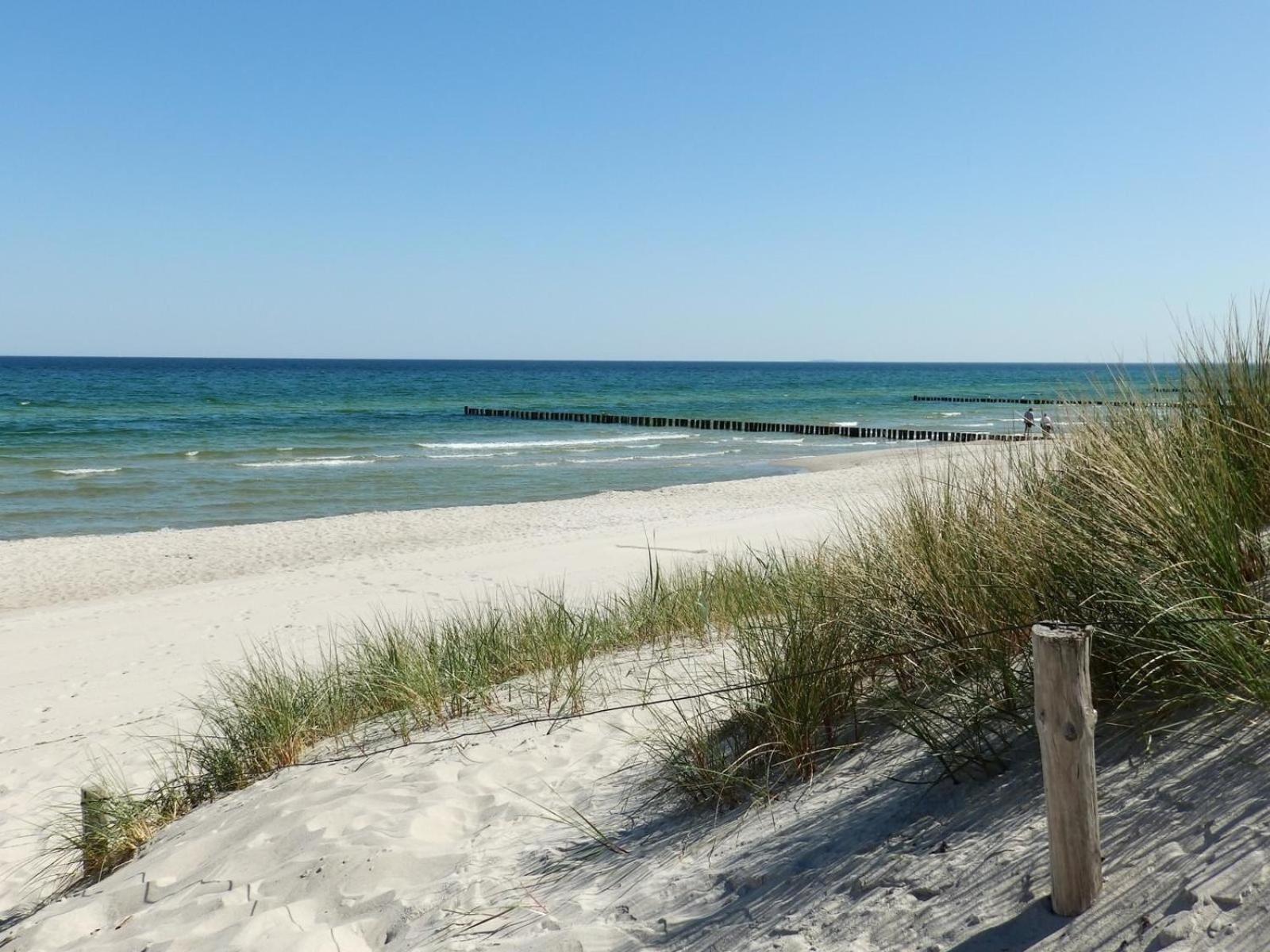 Moewennest 02 Daire Zingst Dış mekan fotoğraf